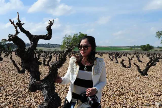 法国名庄酒推荐,法国旅游酒庄攻略大全