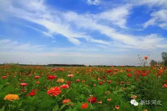 这条飘扬在河北大地的锦绣玉带,真是美爆了