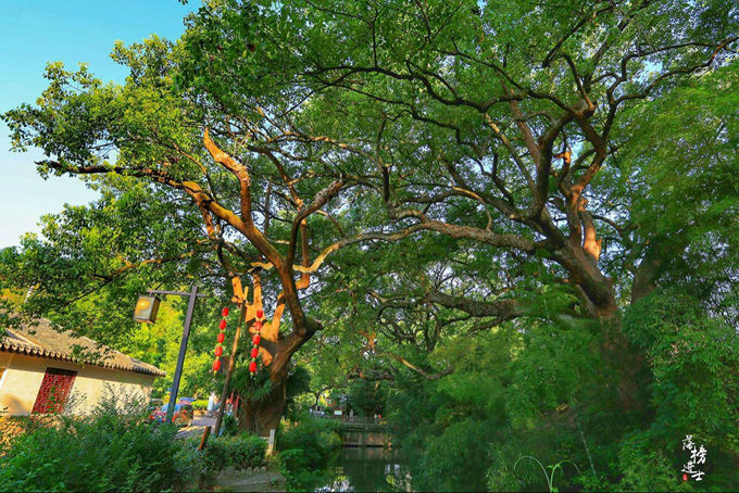 鍙ゅ牥鐢讳埂涔℃剚,鍙ゅ牥鐢讳埂鑹烘湳灏忛晣