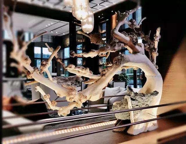 每个夏天都要快乐,每个夏天都要开心