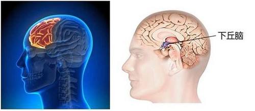 弦是如何组成物质的,所有物质是由分子构成的吗