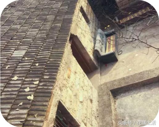 她把2000平方的屋子改造成花园,夫妻花3万改造荒废20年的农村老屋