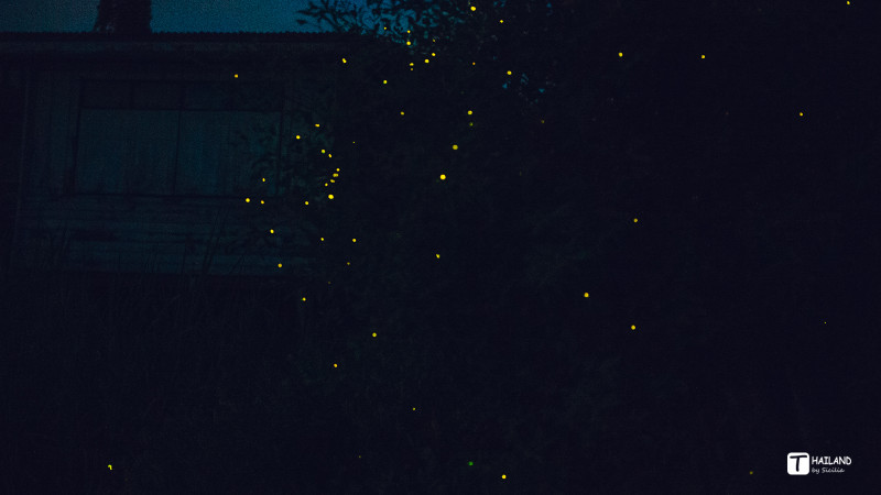 带你一起去泰国看海,回忆那年在泰国踏浪看海