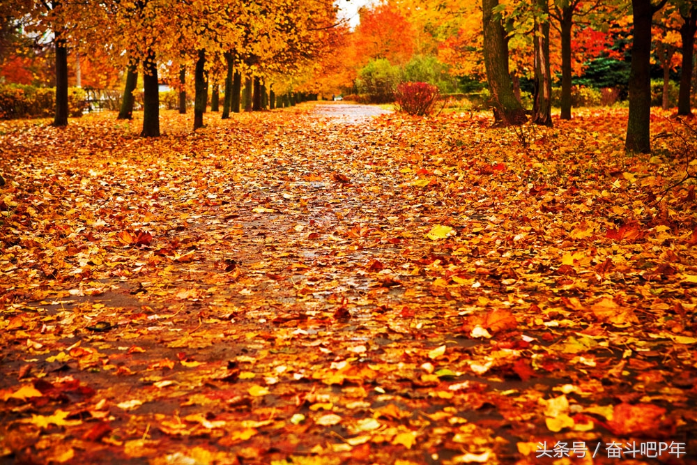 ps入门之基础图层蒙版的基本概念,ps使用过程中图层蒙版的基础使用