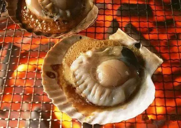 羊口开海！倒计时一天！第一网吃起来！看完哈喇子流一地