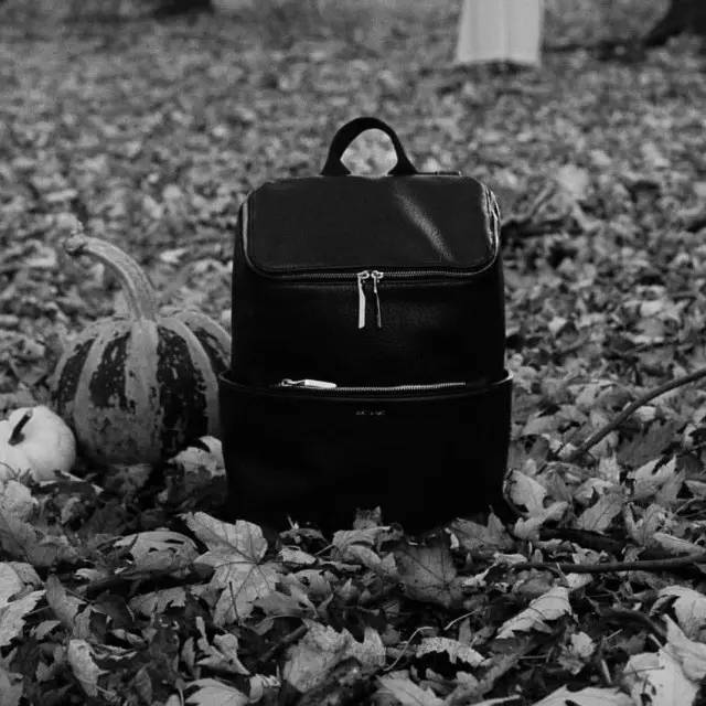 双肩包种草视频,双肩包种草好看能装不贵