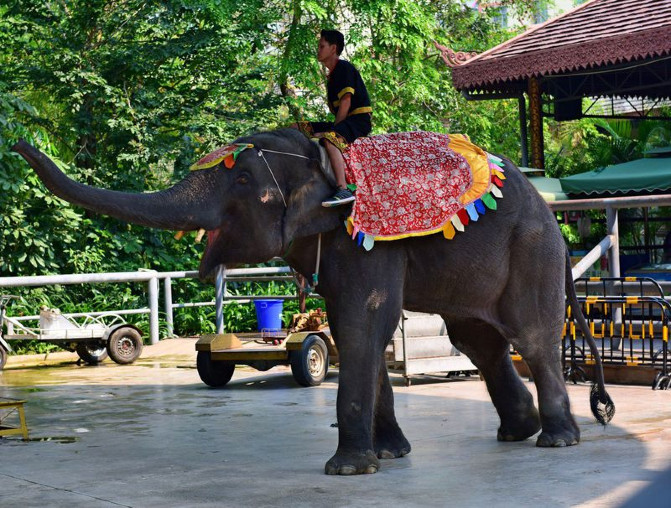 去西双版纳旅游吃住行攻略,去西双版纳旅行自由行攻略