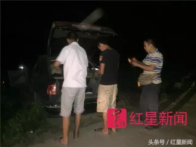 河南捉蛐蛐一个能卖几万,河南哪个地方蛐蛐好抓点