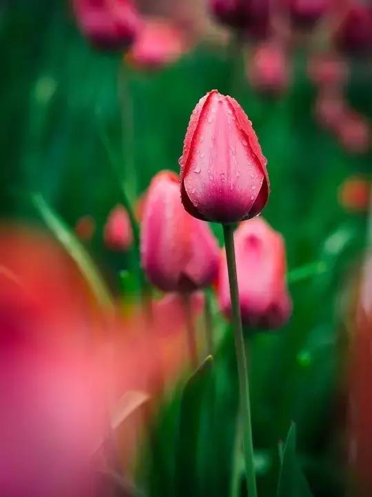 伤感文字早安心语,微信朋友圈早安语录正能量图片