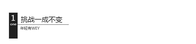 自主豪华汽车,舒适度最好的中型豪华suv