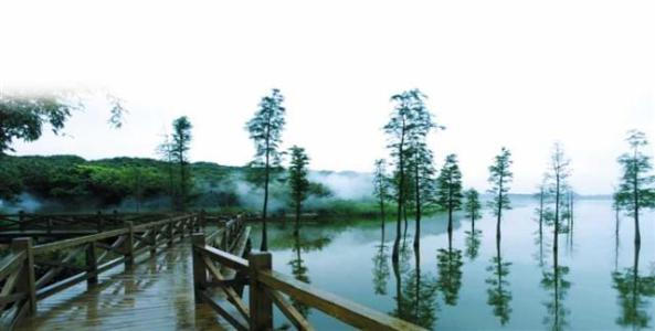 东莞情侣打卡约会最佳地点,东莞适合情侣去的地方