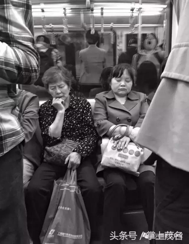 手机摄影田园生活图片,手机摄影主题