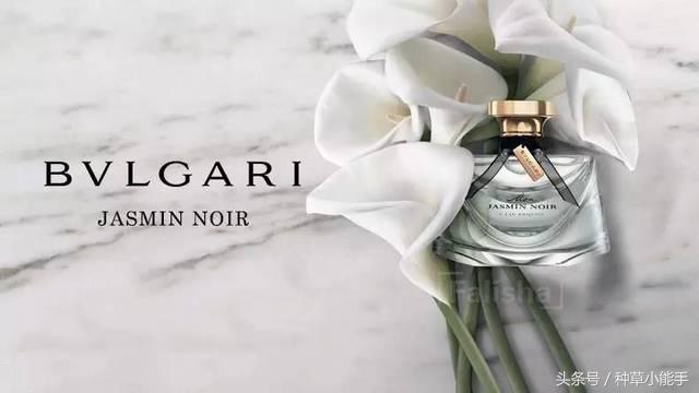 五款好用却便宜的国货香水,适合女生春天使用的香水小众平价