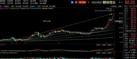 是什么成就了赣锋锂业的两年10倍走势？