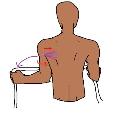 练背练肩颈真的可以瘦背吗,练背可以改善脊椎两侧肌肉吗