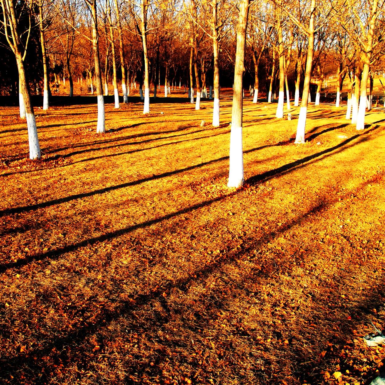 微信相册封面图片大全,微信相册封面图是什么