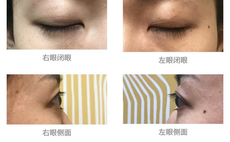 完美日记睫毛膏排行榜评测,丽兰妃睫毛膏评测