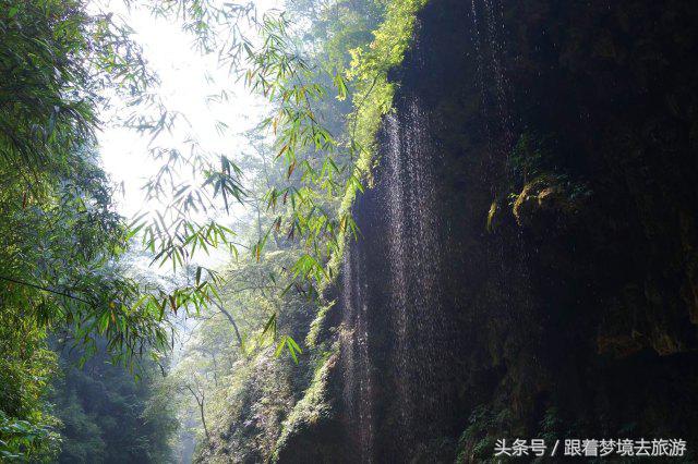 重庆最美黑山谷景区,重庆万盛黑山谷旅游如何