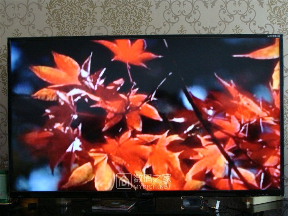 奇声vcd影碟机2008,奇声VCD影碟机