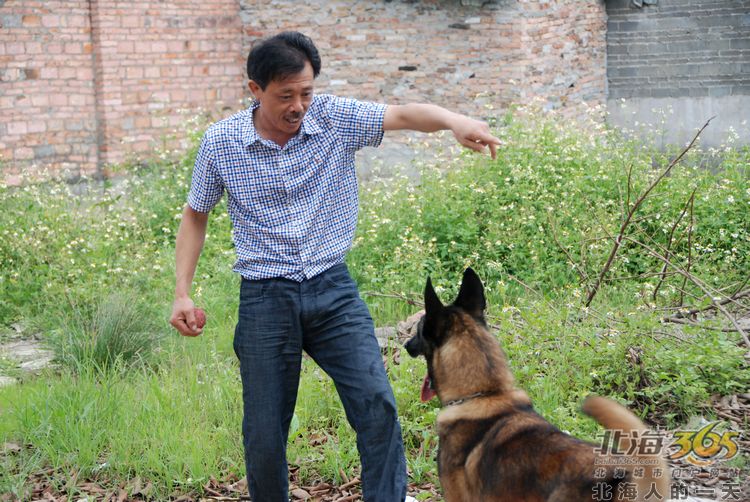 陈荣华北海,北海人的一天