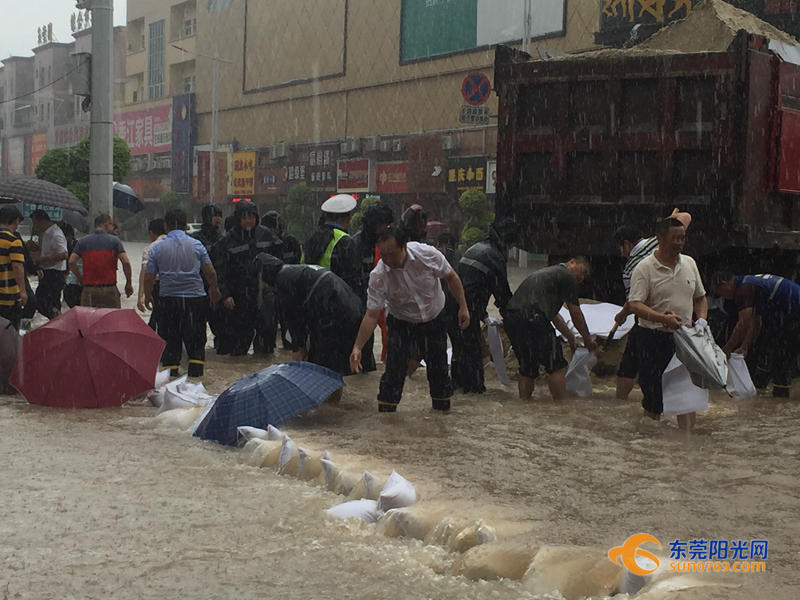 东莞海滩必备泳衣,东莞海边最新消息