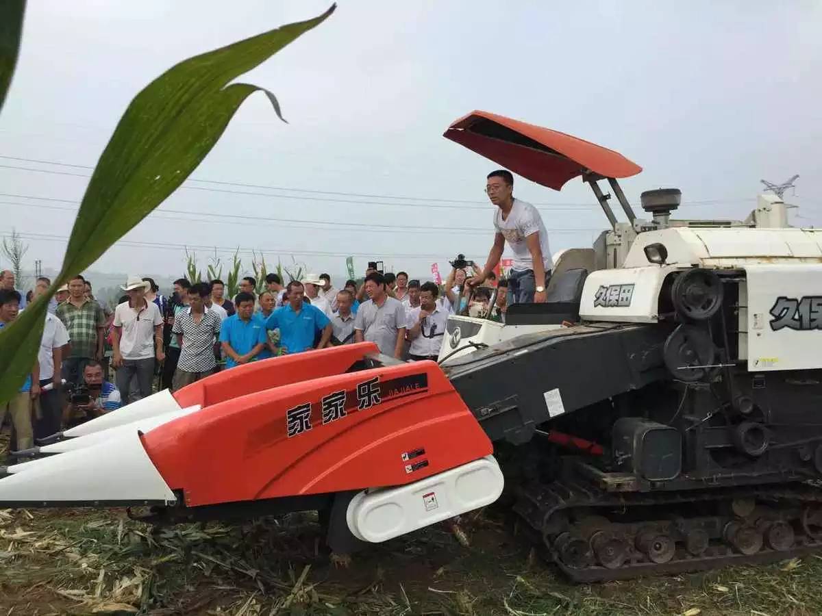 家家乐杂粮割台pk黄金谷割台,家家乐玉米收割机割台多少钱一个