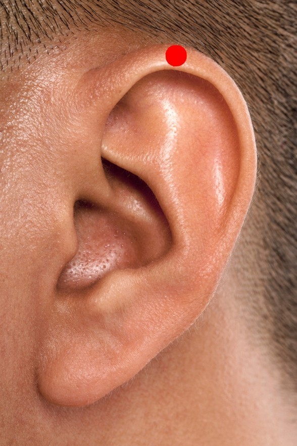 春天易上火降火,春天好上火