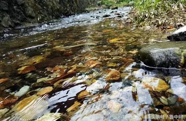 为什么要定居,为什么要定居省会城市