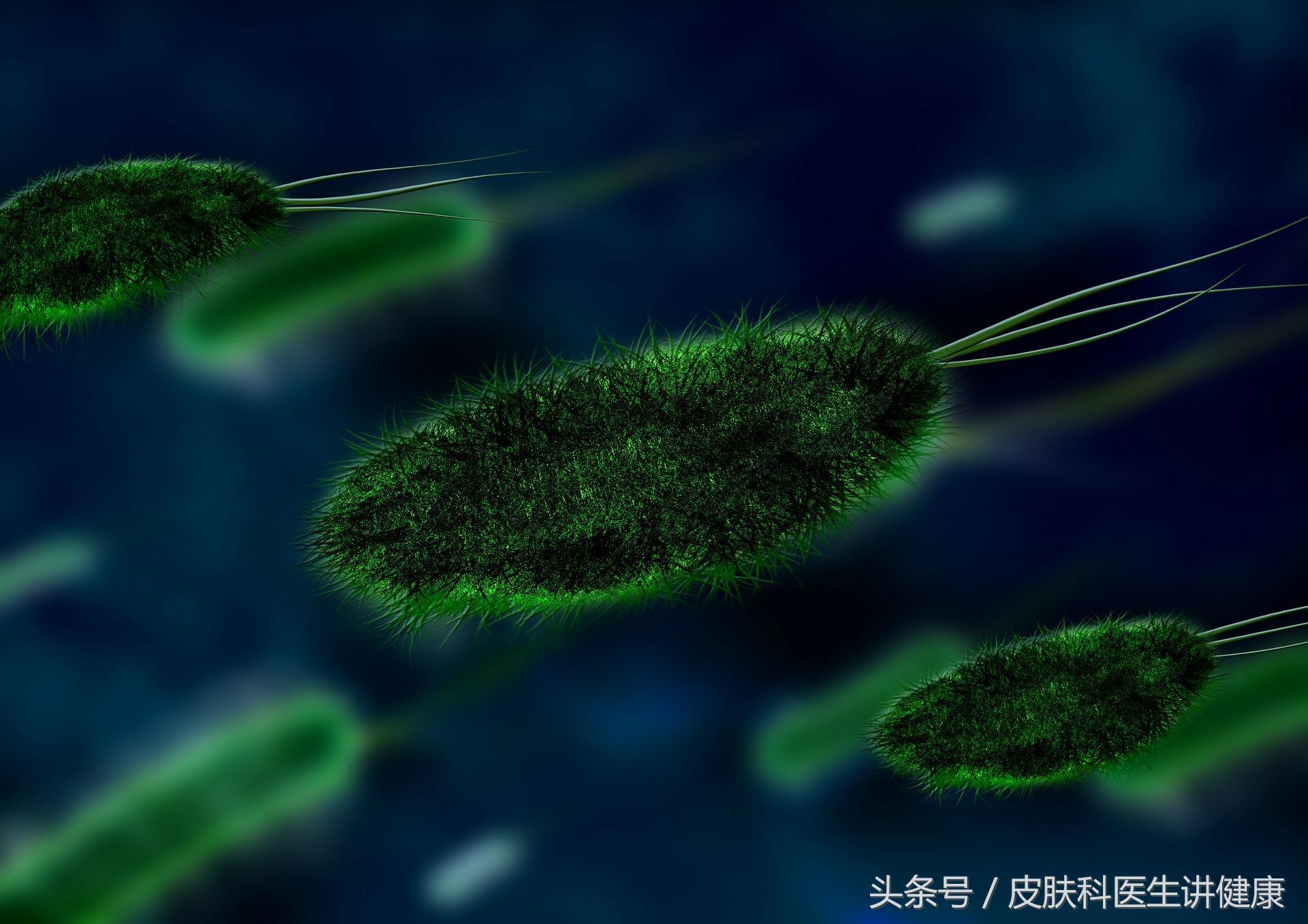 尿泡泡多检查哪个项目,淋病潜伏期做尿常规能查出来吗