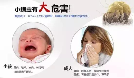 清除床单衣物的螨虫最好的方法,最全最有效去除家里的螨虫方法