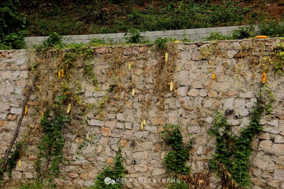 水秀山青下一句,农庄山清水秀的好地方