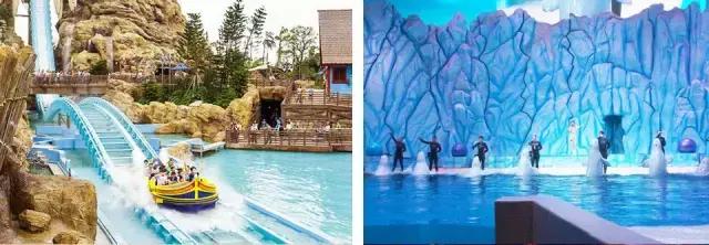 珠海横琴长隆海洋王国有什么,横琴口岸坐车珠海长隆海洋王国