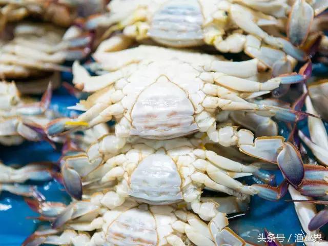 世界十大海鲜市场排名,世界最大的海鲜市场日本