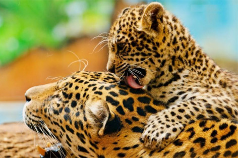 我跟老婆几个月每天以泪洗面，直到我当爸爸才恍然大悟