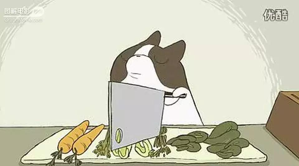 1分钟看完煎蛋饼养只狗狗来做饭狗版の田螺姑娘