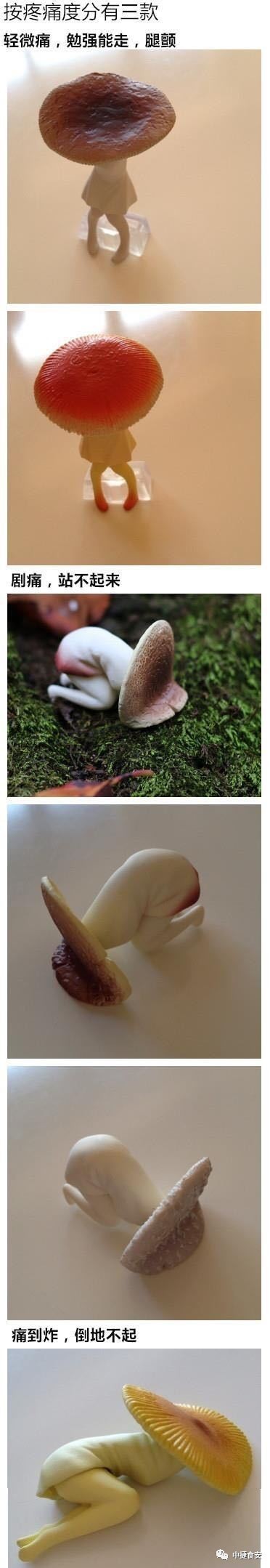 痛经到底有多痛让男朋友知道,痛经到底有多痛谁在说你矫情