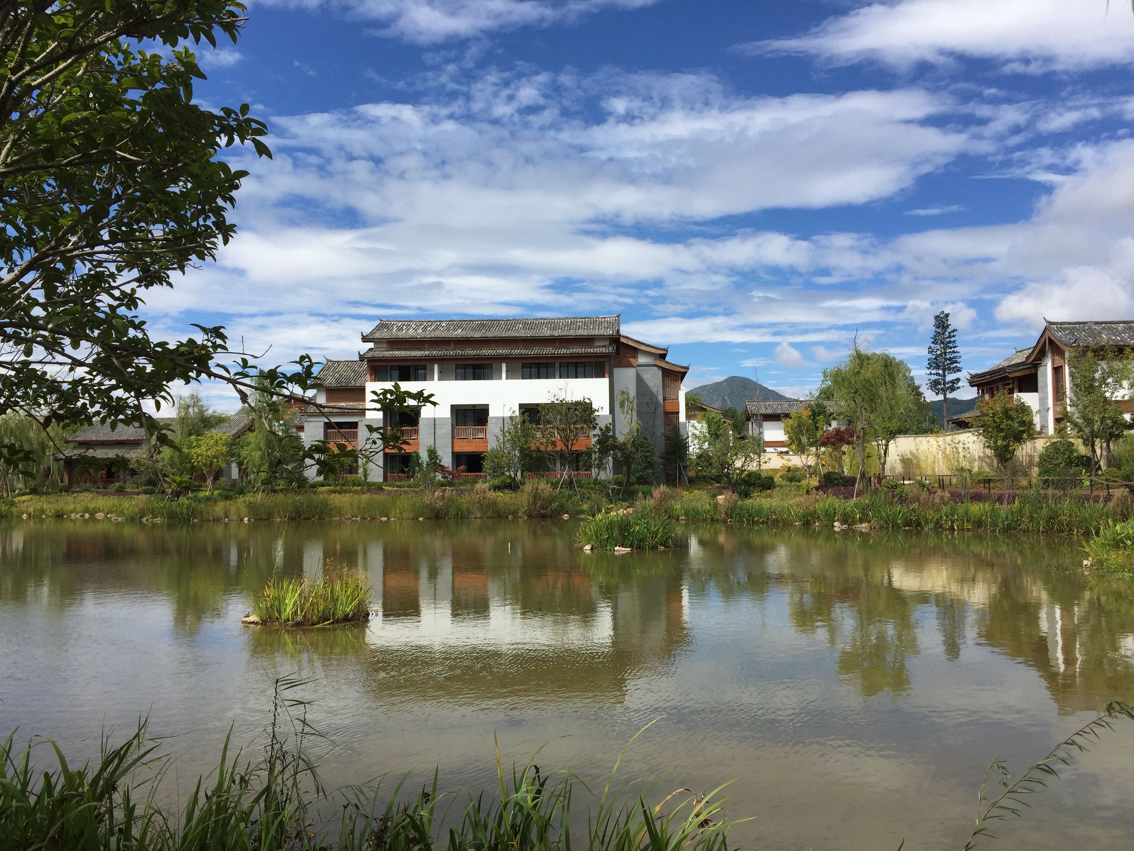 这个国庆长假，难忘大理洱海小岛上那个农家小倌的炖鸡汤