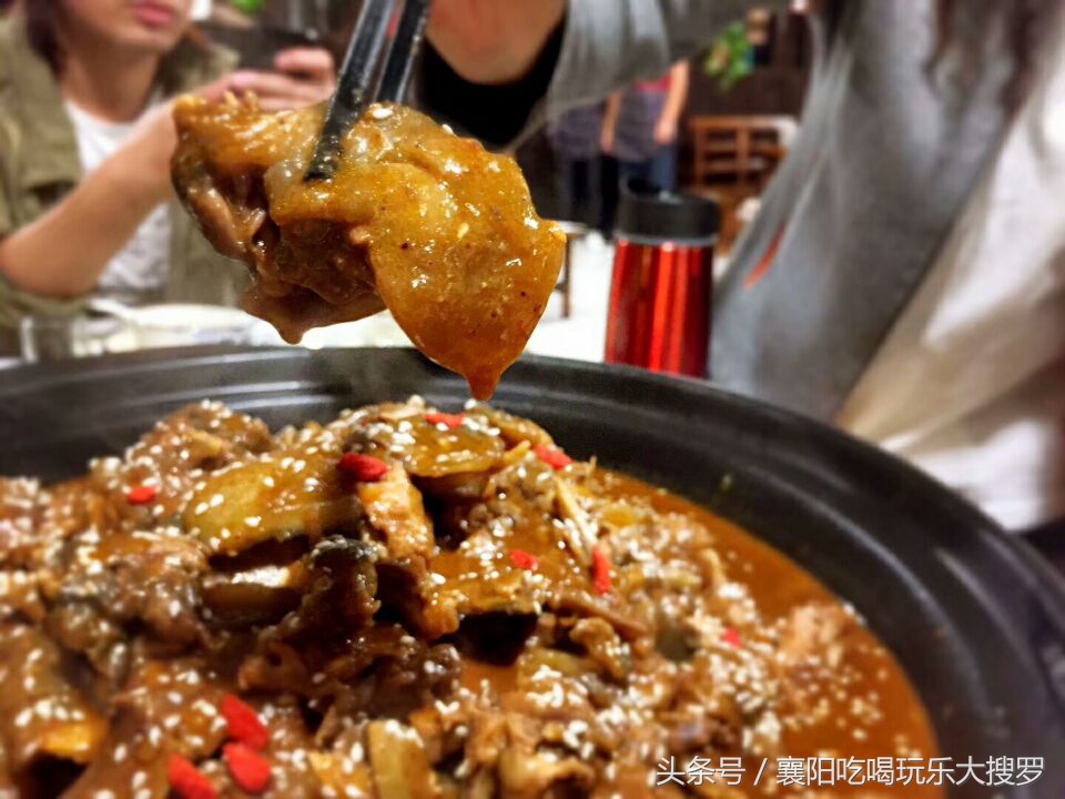 甲鱼销量第一,销量第一甲鱼