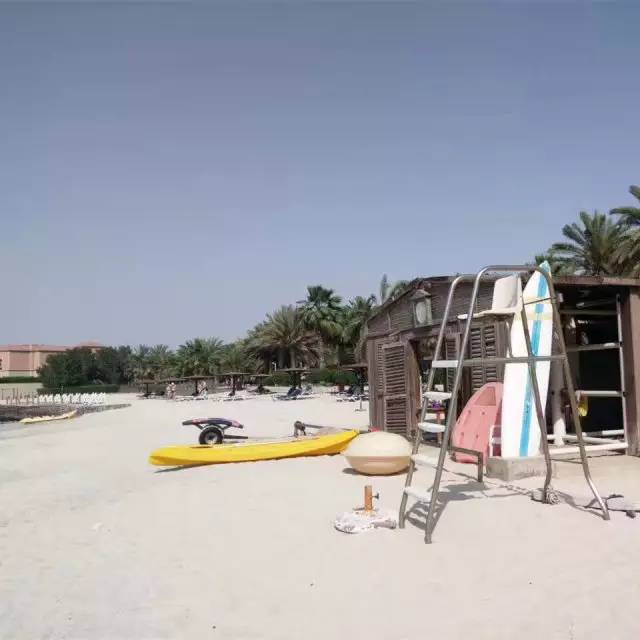 学姐学长的朋友圈,飞过一整个世界