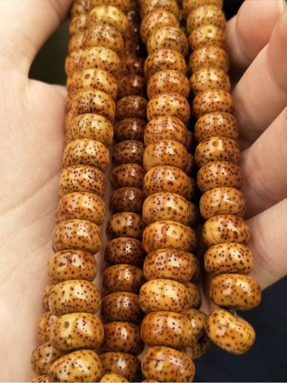 普洱茶泡星月菩提过程视频,星月菩提根手串泡普洱茶