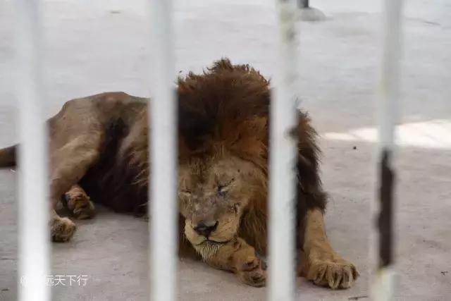 最美的女童海南,最美的小女生去游乐场玩