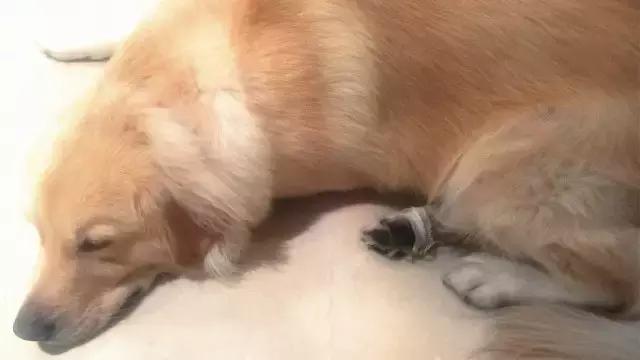 你有多久没有定期体检,你有多久没做体检了