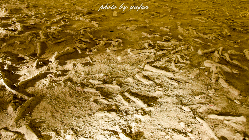 中国被称为恐龙之乡的地方在哪,哪里被誉为中国北方恐龙之乡