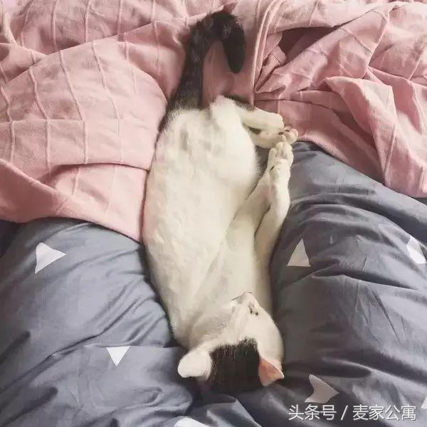 单身独居女青年,必备租房布置攻略