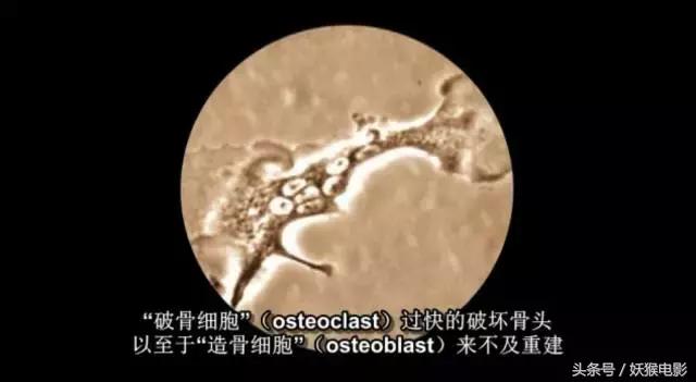 最震撼的纪录片bbc人体的奥秘,人体科普纪录片top10