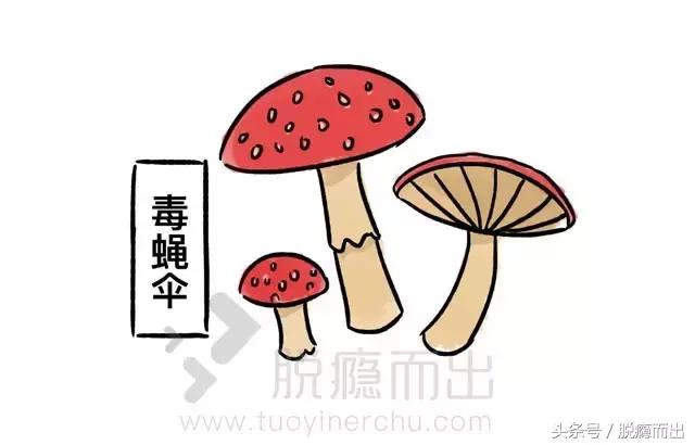 药品如何沦为毒品,药品商业化内幕