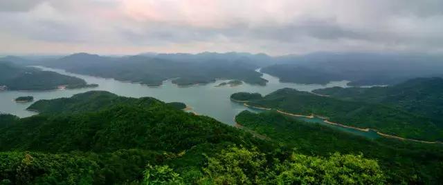 不愧为中山的生态保护区,镜头下的五桂山竟然这么美