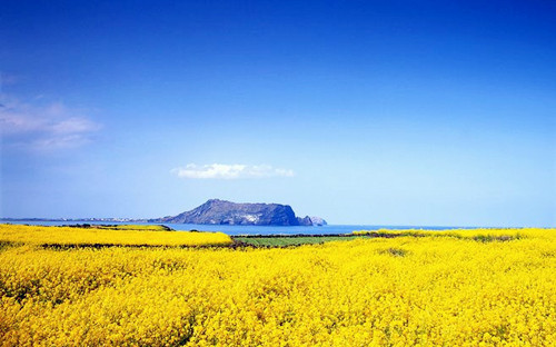 9月8日穿衣指南今日运势,9月7日穿衣指南今日运势