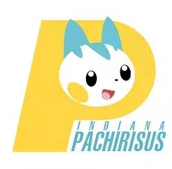 火箭队宝可梦logo,nba球队logo大全