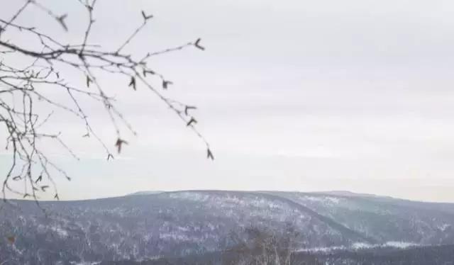初冬掠影,哈尔滨的冬日魅力